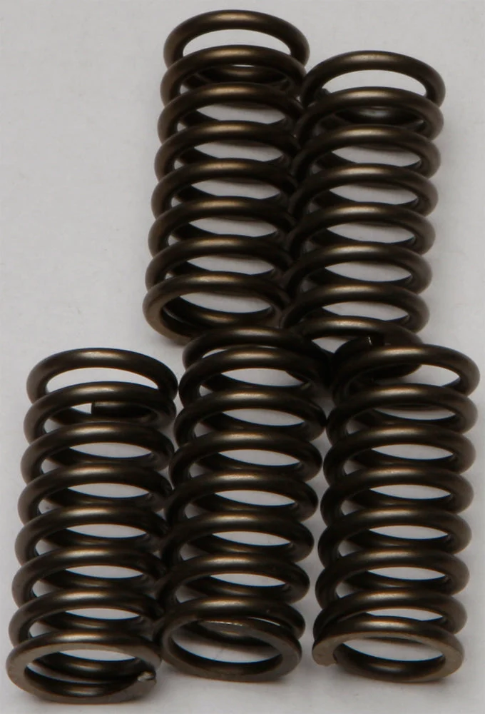 Clutch Springs Csk137