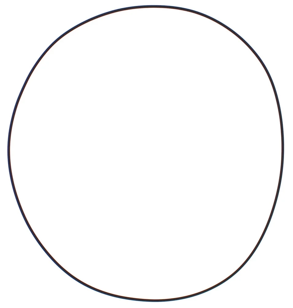 O Ring Clutch Cover Gasket