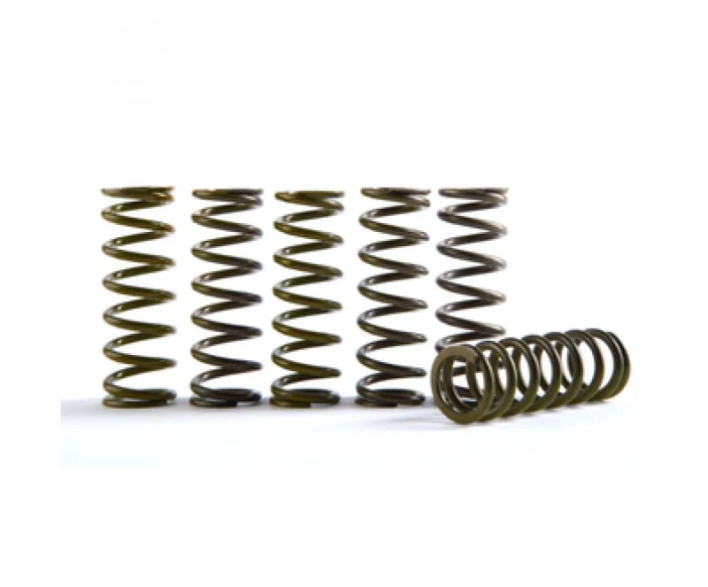 Hinson Clutch 22-24 Honda CRF250R Hi-Temp Clutch Spring Kit - Set of 5 - CS189-5-0613