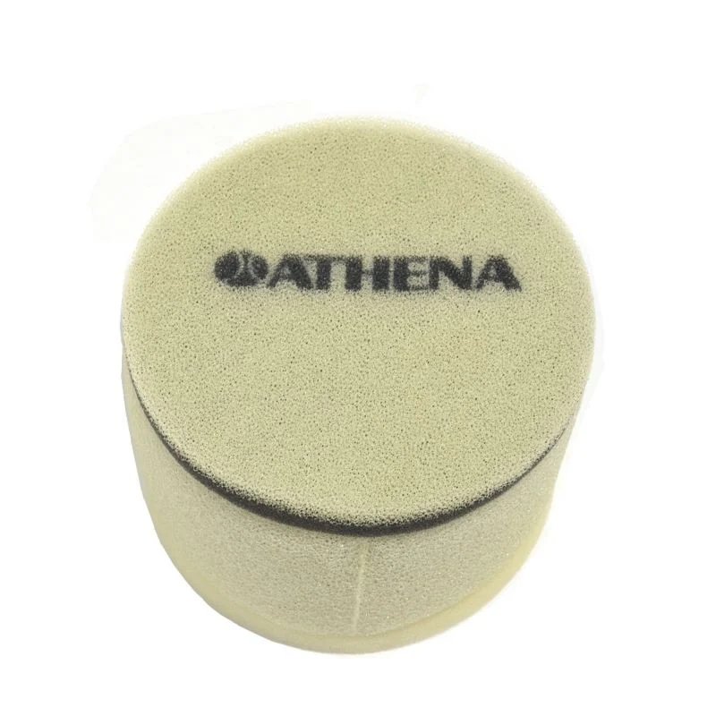 Athena 85-86 Suzuki LT 250 R QuadRacer Air Filter - S410510200027