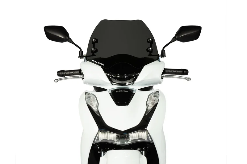 MALOSSI Sportscreen