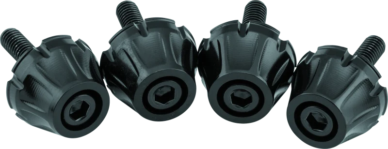 Kuryakyn Windshield Screws FLTR Black - 5722